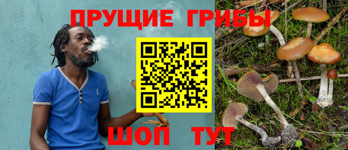 Псилоцибиновые грибы MAGIC MUSHROOMS Усинск